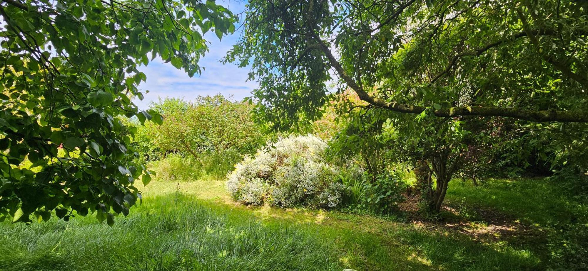 La Petite Maison Wimereux Buitenkant foto